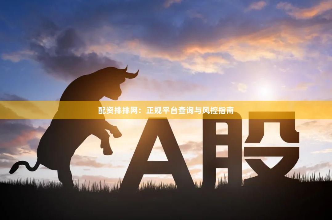 配资排排网：正规平台查询与风控指南